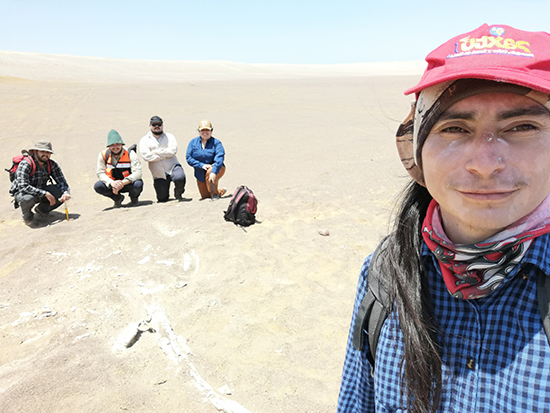 equipo de IKHNOS arqueología y paleontología en chile