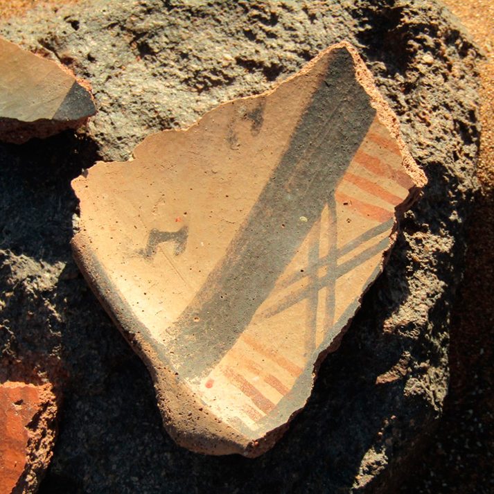 ikhnos.cl-paleontología-y-arqueología-(8) ikhnos.cl-paleontología-y-arqueología-(8)