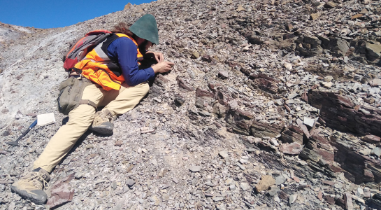 Paleontología y arqueología en chile